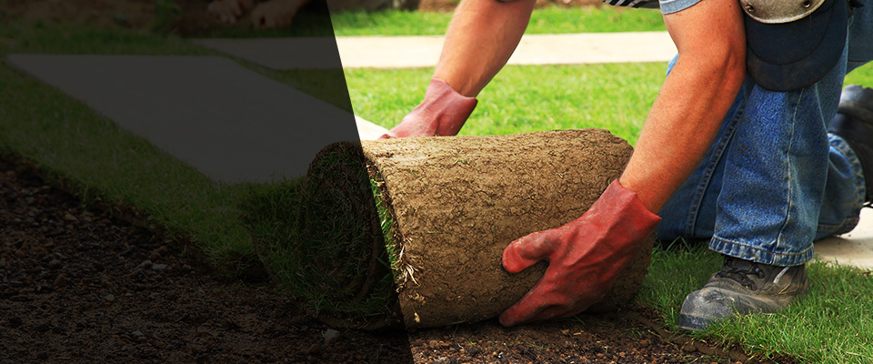 Fennimore Landscapers